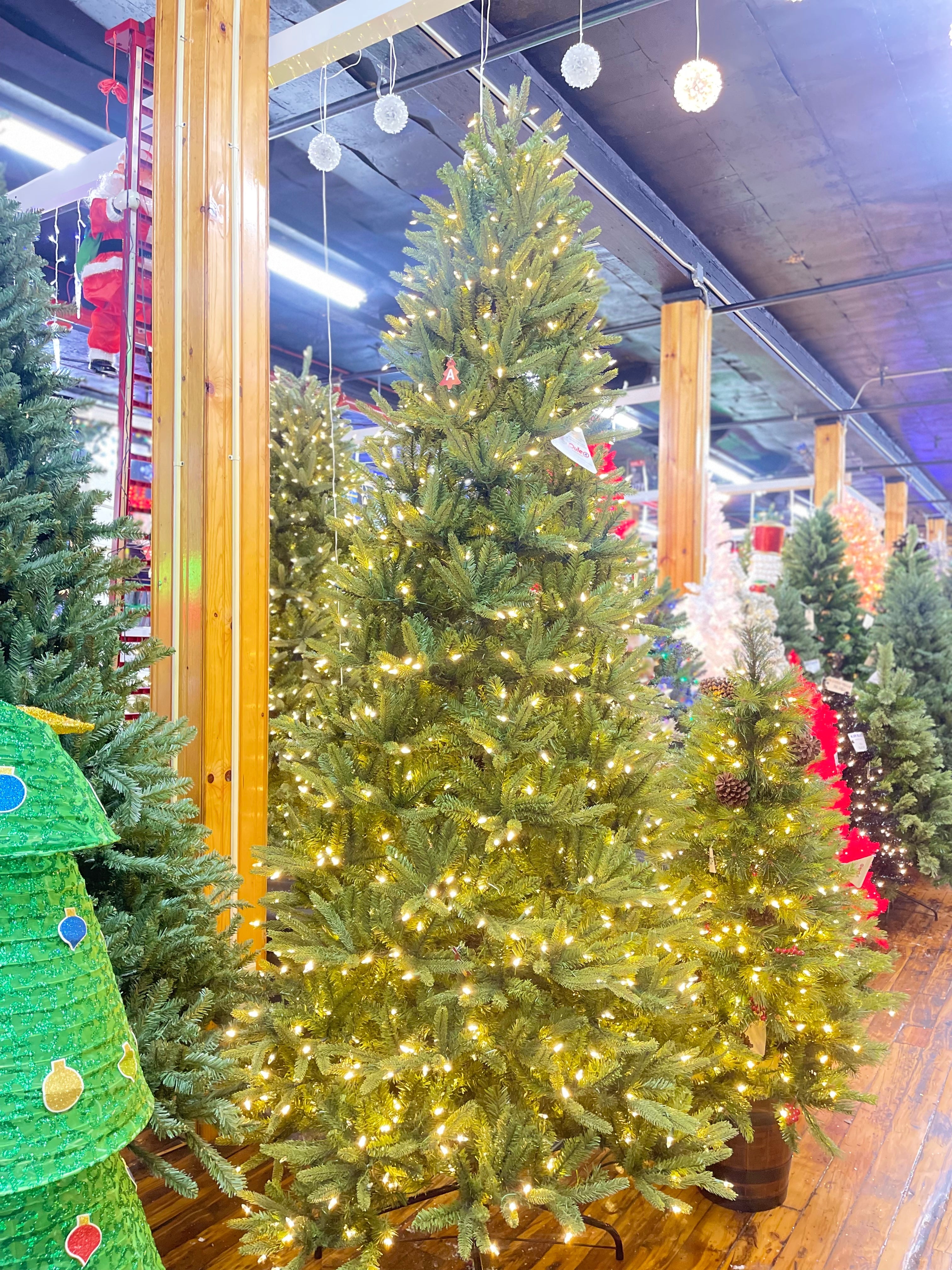 Puleo International 9ft Slim Washington Valley Spruce Tree WW